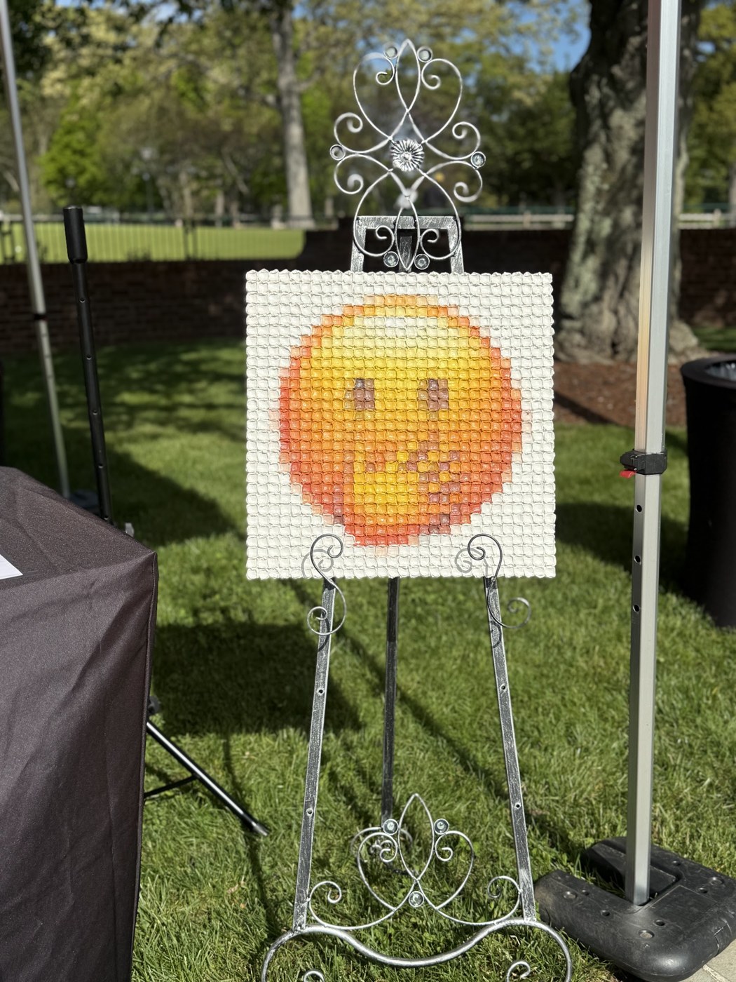 Art displayed on the course at Art Cup Preview Round